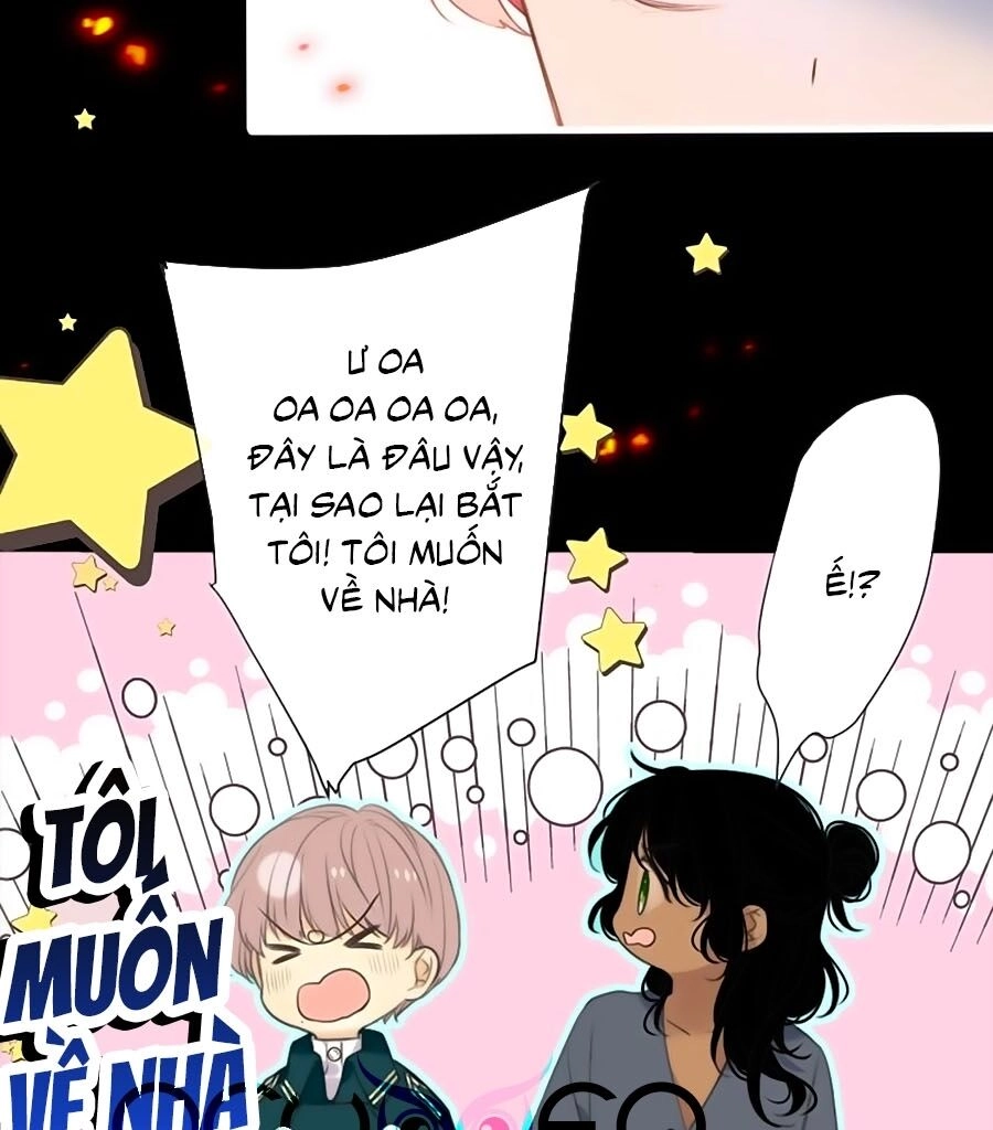 Lâu Tiểu Thư, Lại Gặp Nhau Rồi Chapter 15 - 21