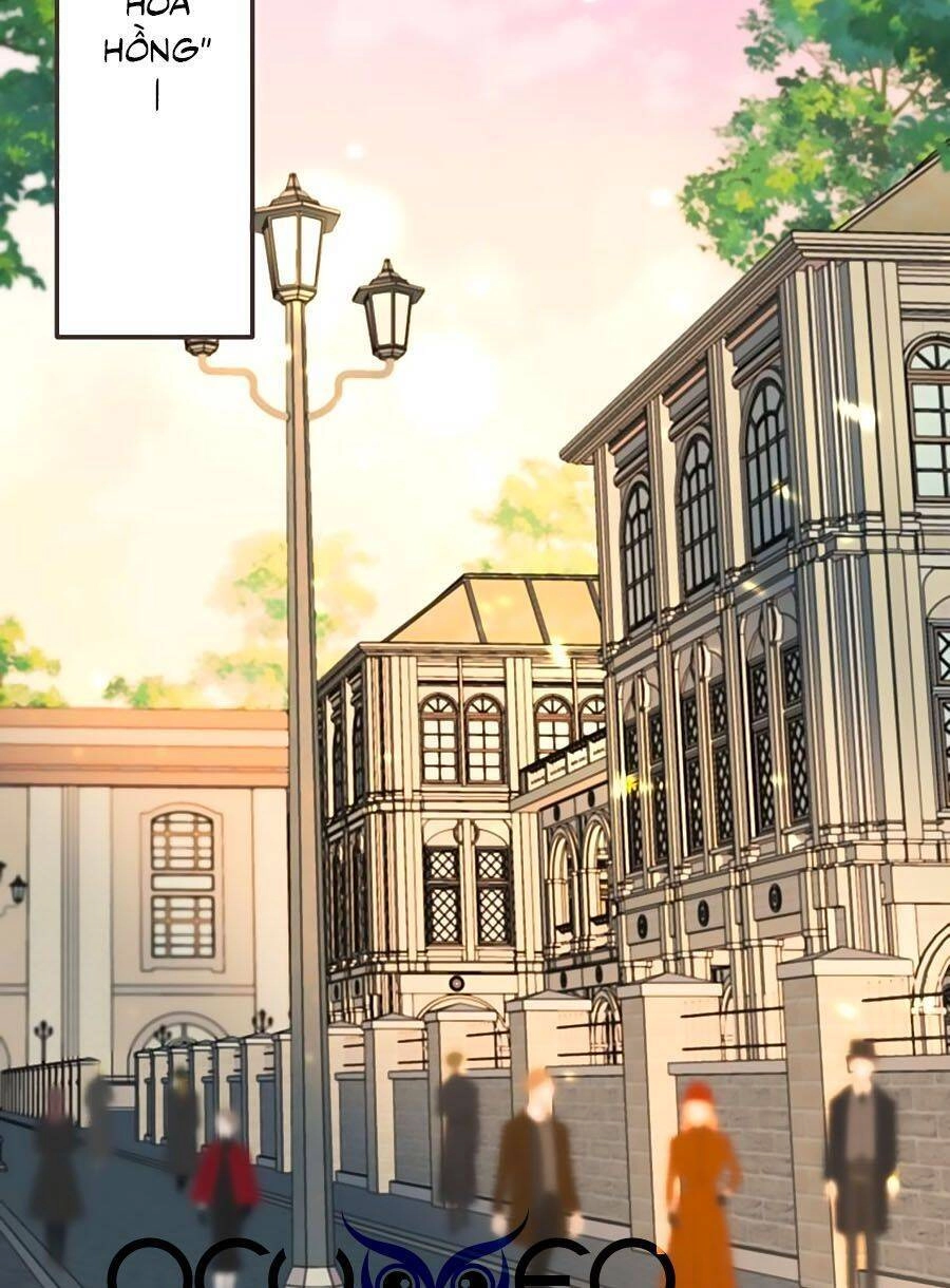 Lâu Tiểu Thư, Lại Gặp Nhau Rồi Chapter 25 - 16