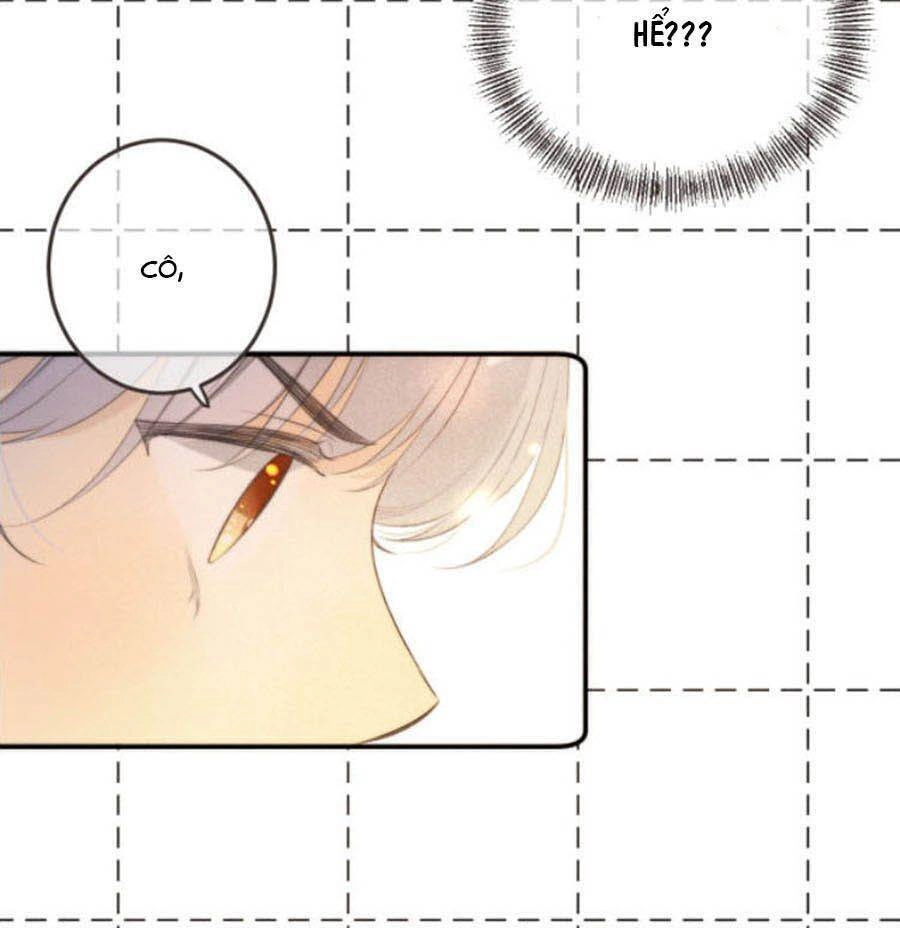 Lâu Tiểu Thư, Lại Gặp Nhau Rồi Chapter 41 - 33