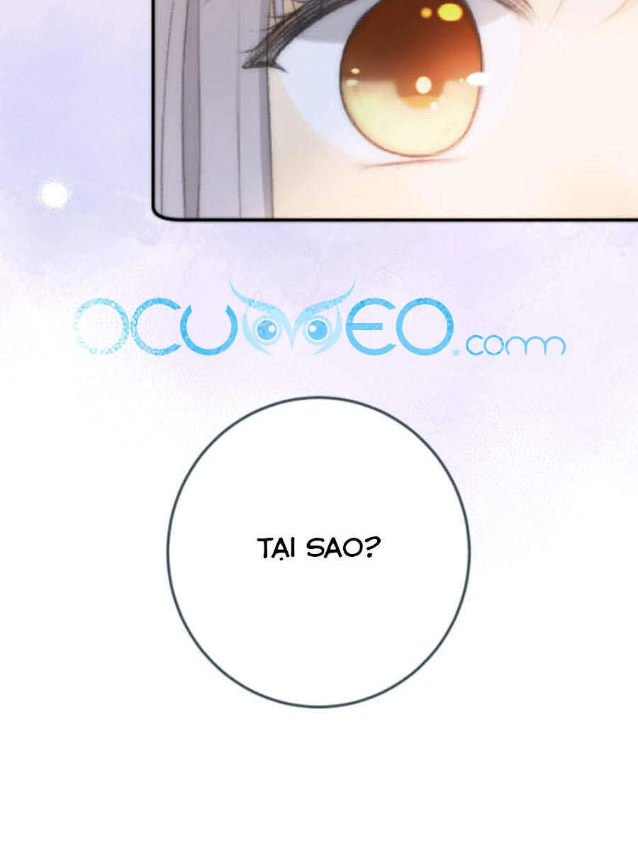 Lâu Tiểu Thư, Lại Gặp Nhau Rồi Chapter 51 - 5