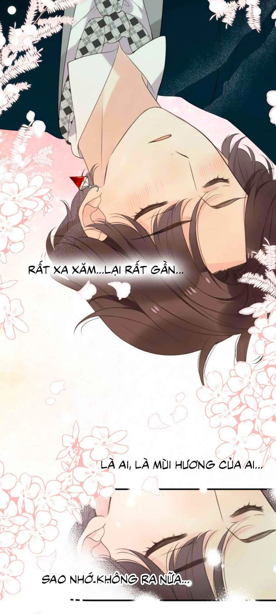 Lâu Tiểu Thư, Lại Gặp Nhau Rồi Chapter 53 - 16