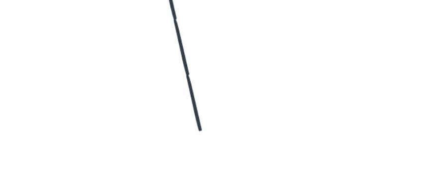 Lâu Tiểu Thư, Lại Gặp Nhau Rồi Chapter 62 - 38