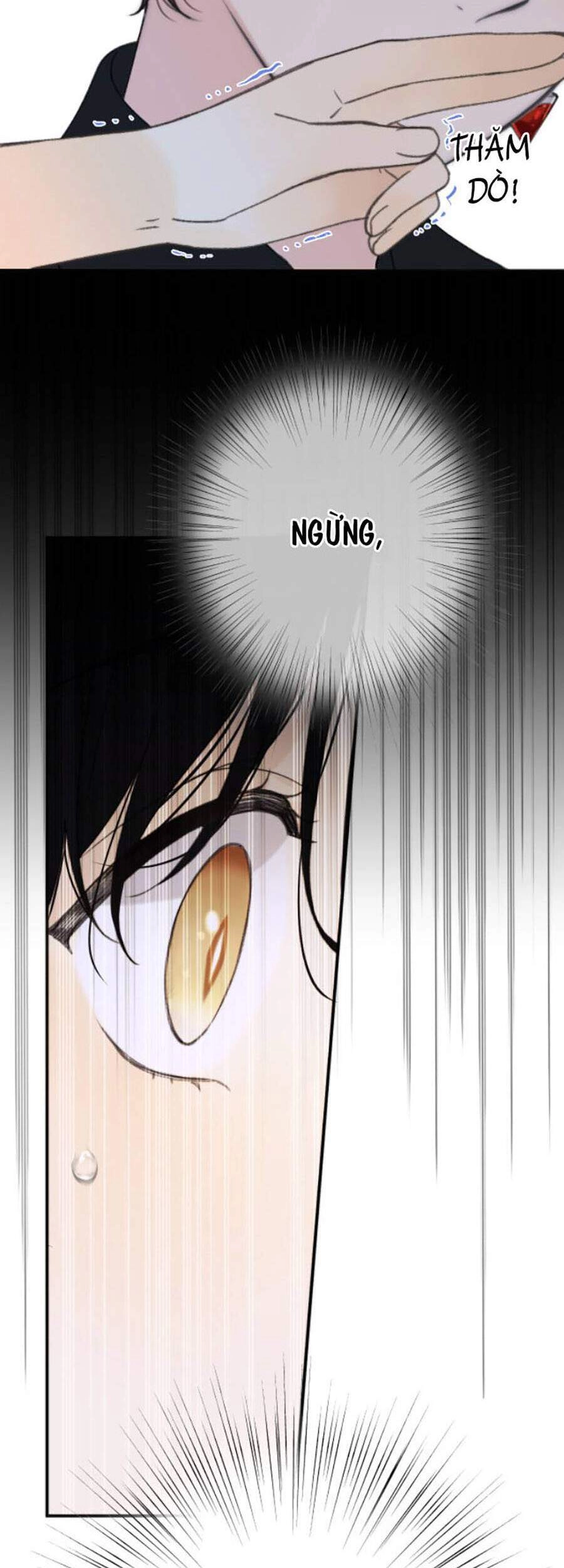 Lâu Tiểu Thư, Lại Gặp Nhau Rồi Chapter 66 - 33