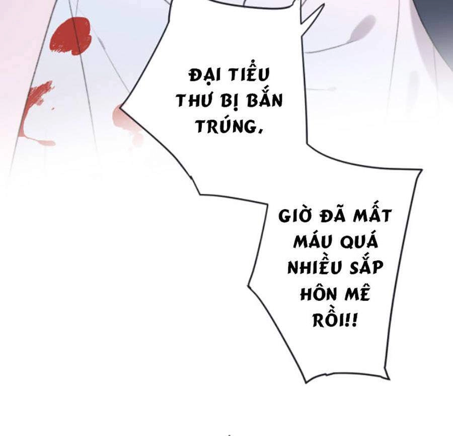 Lâu Tiểu Thư, Lại Gặp Nhau Rồi Chapter 67 - 18