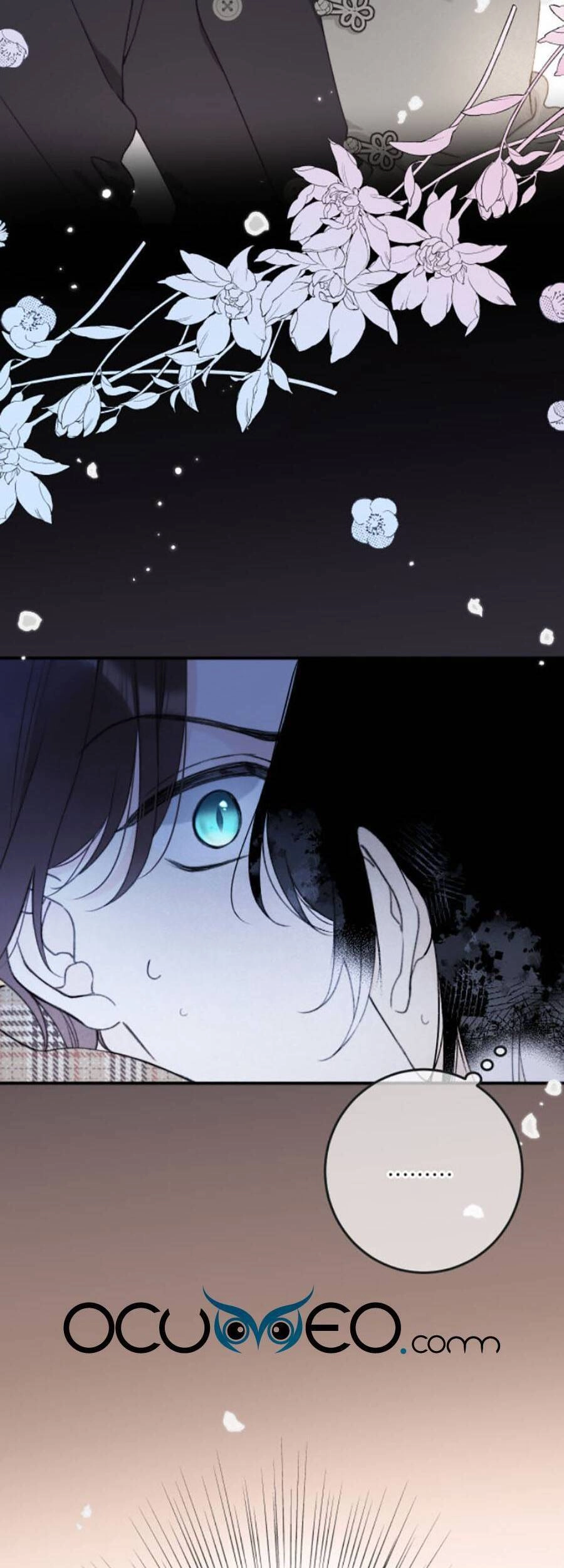 Lâu Tiểu Thư, Lại Gặp Nhau Rồi Chapter 80 - 41