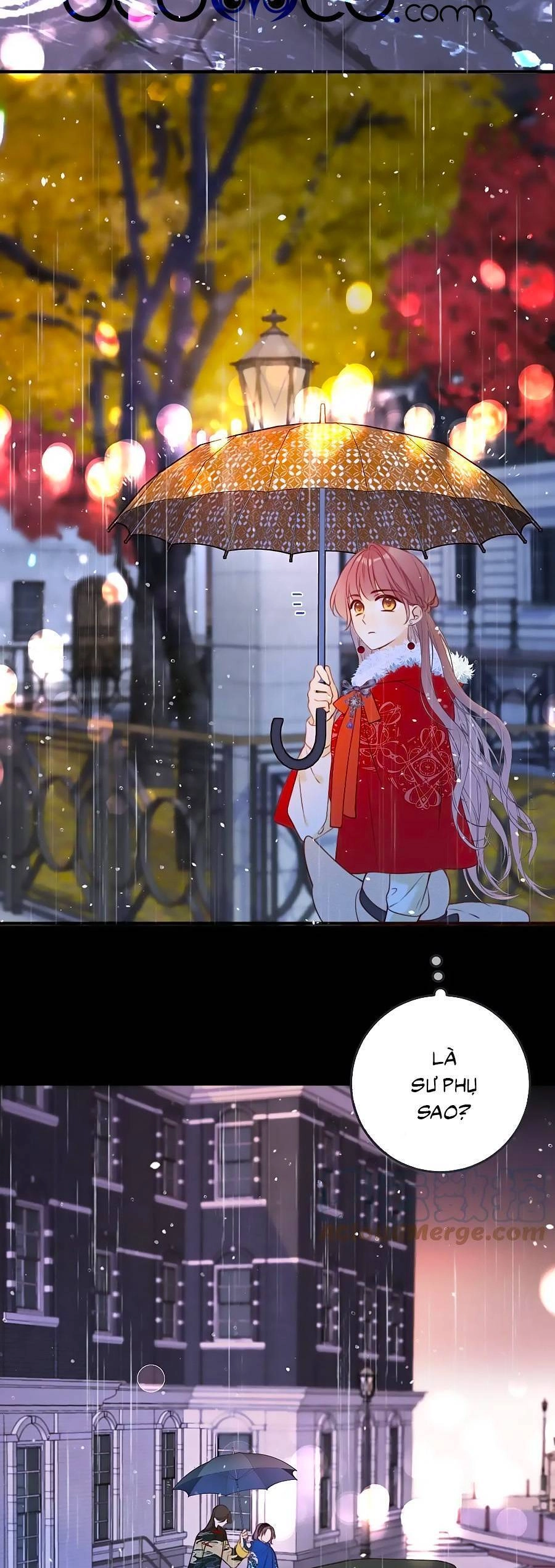 Lâu Tiểu Thư, Lại Gặp Nhau Rồi Chapter 97 - 31