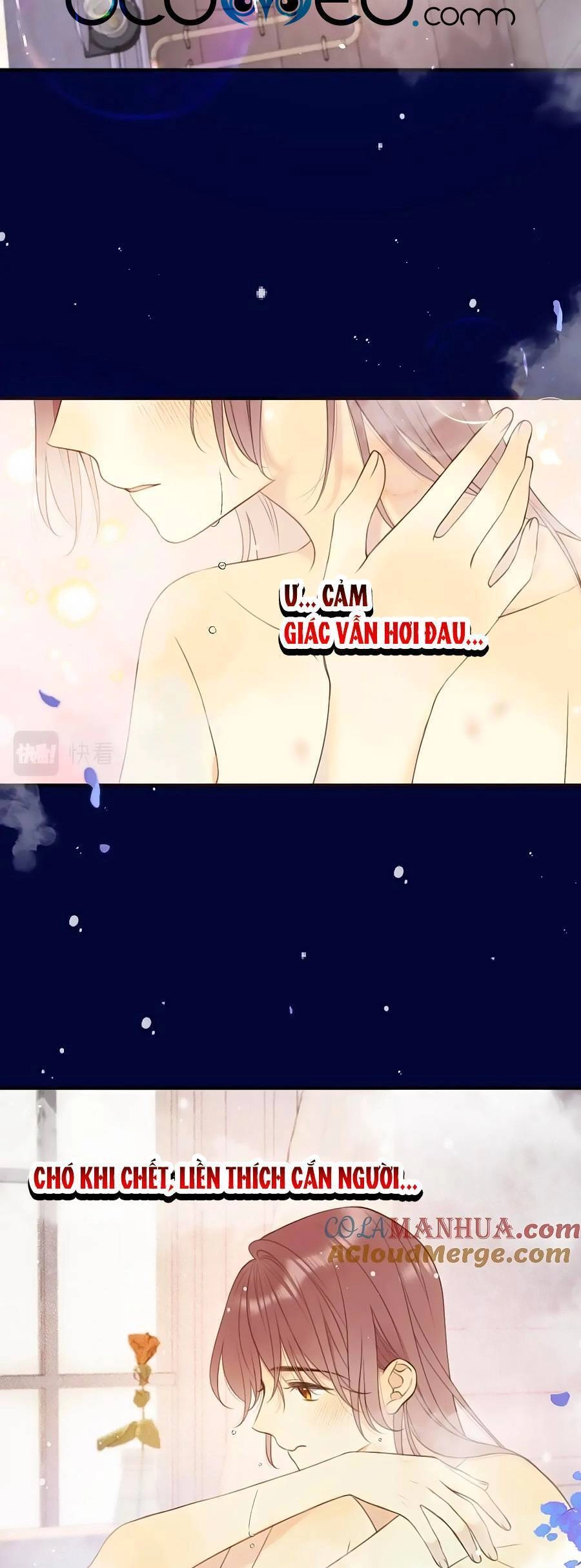 Lâu Tiểu Thư, Lại Gặp Nhau Rồi Chapter 108 - 23