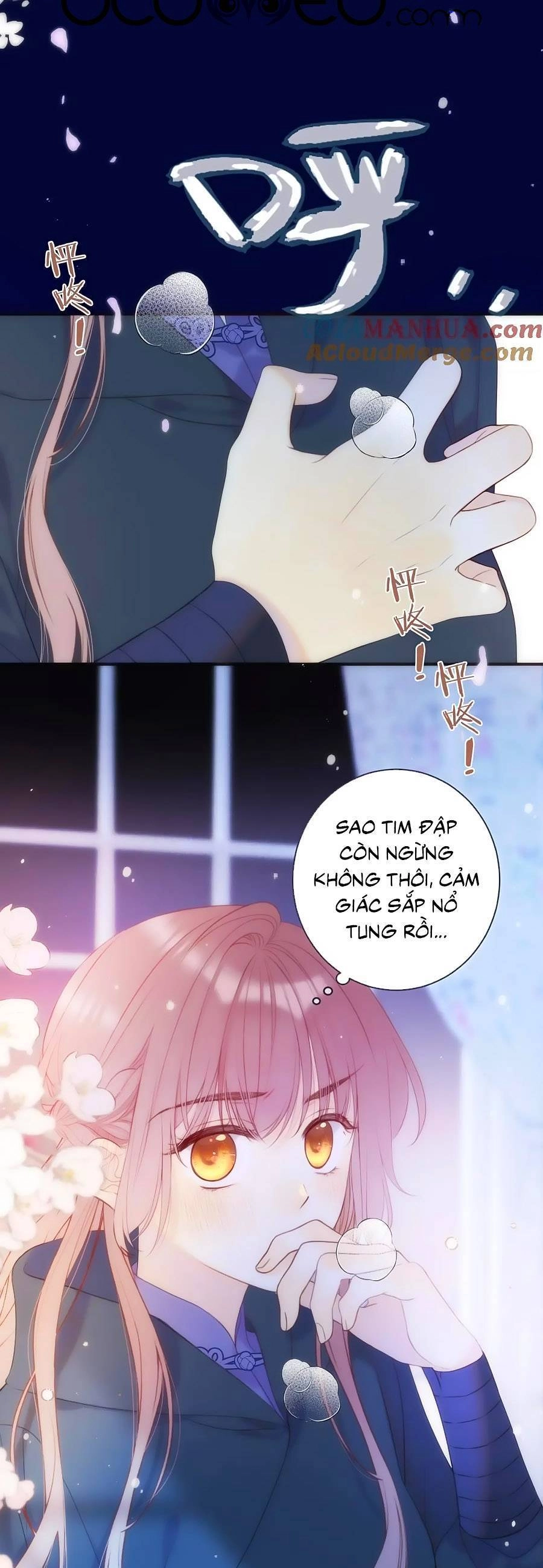 Lâu Tiểu Thư, Lại Gặp Nhau Rồi Chapter 112 - 6