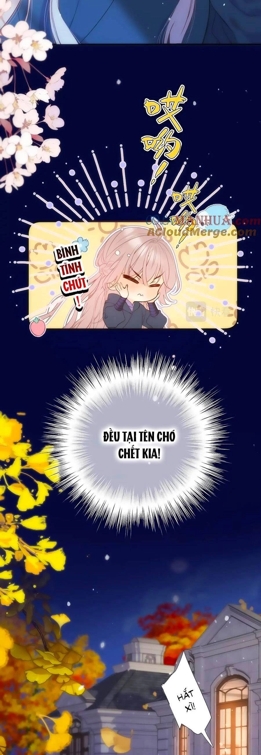 Lâu Tiểu Thư, Lại Gặp Nhau Rồi Chapter 112 - 7