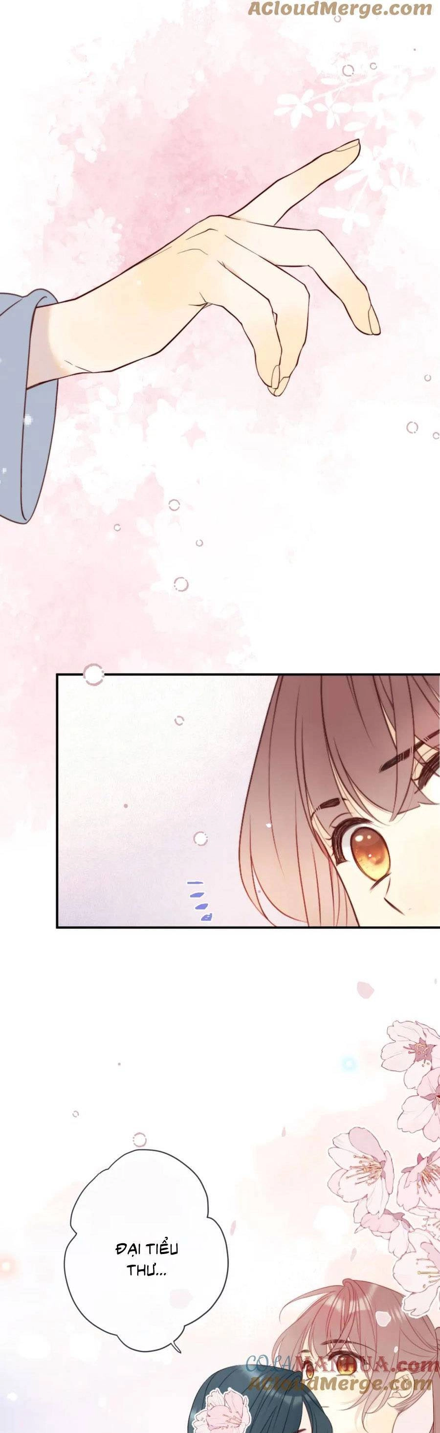 Lâu Tiểu Thư, Lại Gặp Nhau Rồi Chapter 117 - 10