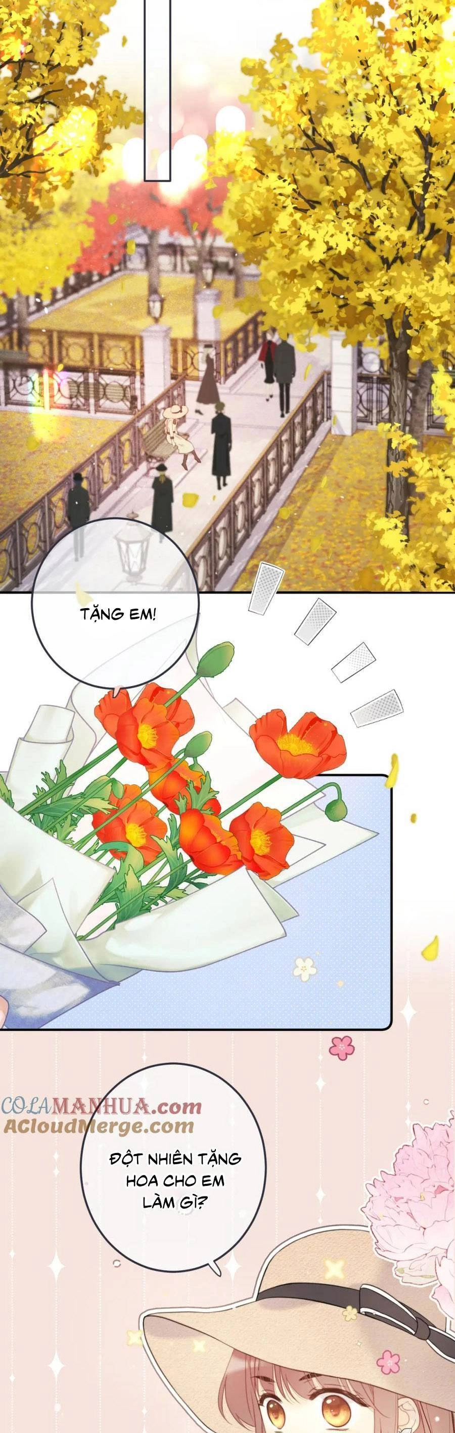 Lâu Tiểu Thư, Lại Gặp Nhau Rồi Chapter 117 - 15