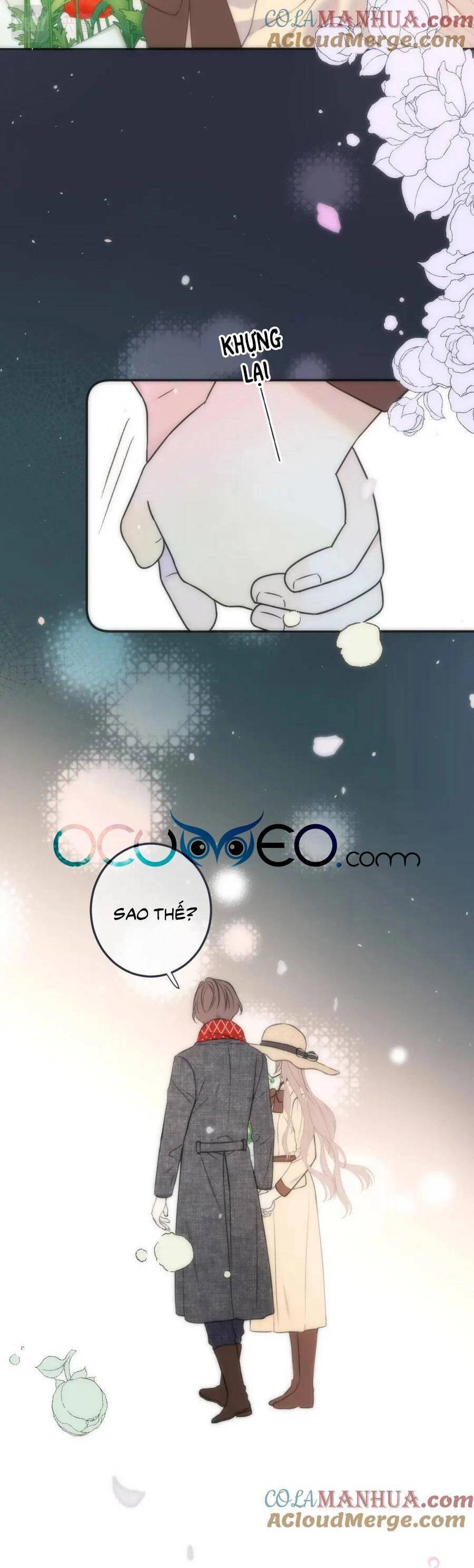 Lâu Tiểu Thư, Lại Gặp Nhau Rồi Chapter 117 - 26