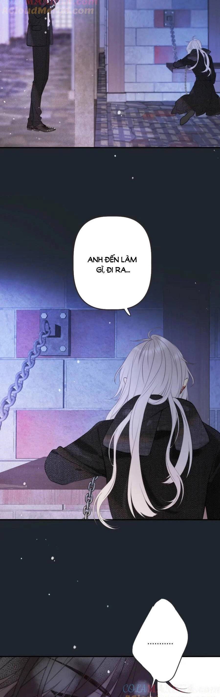 Lâu Tiểu Thư, Lại Gặp Nhau Rồi Chapter 138 - 11