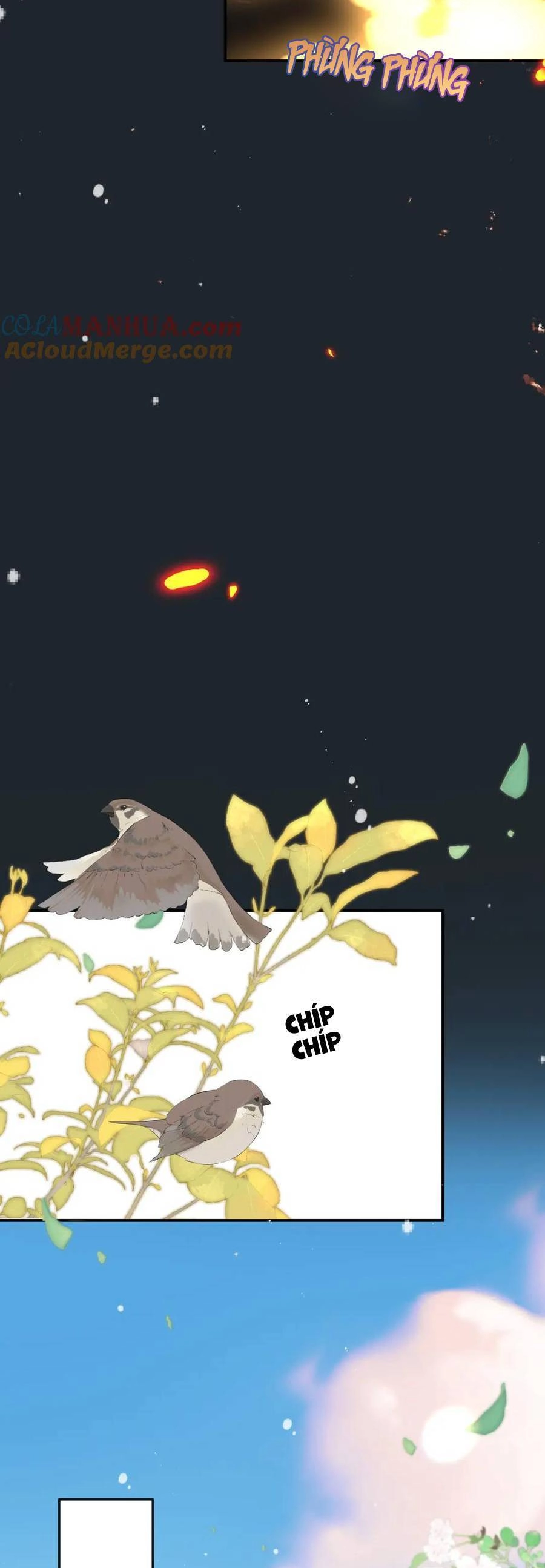 Lâu Tiểu Thư, Lại Gặp Nhau Rồi Chapter 139 - 32