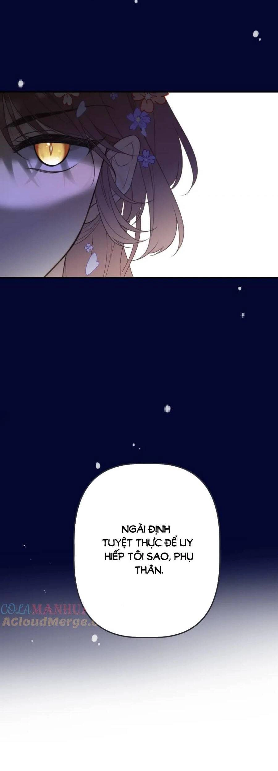 Lâu Tiểu Thư, Lại Gặp Nhau Rồi Chapter 141 - 66