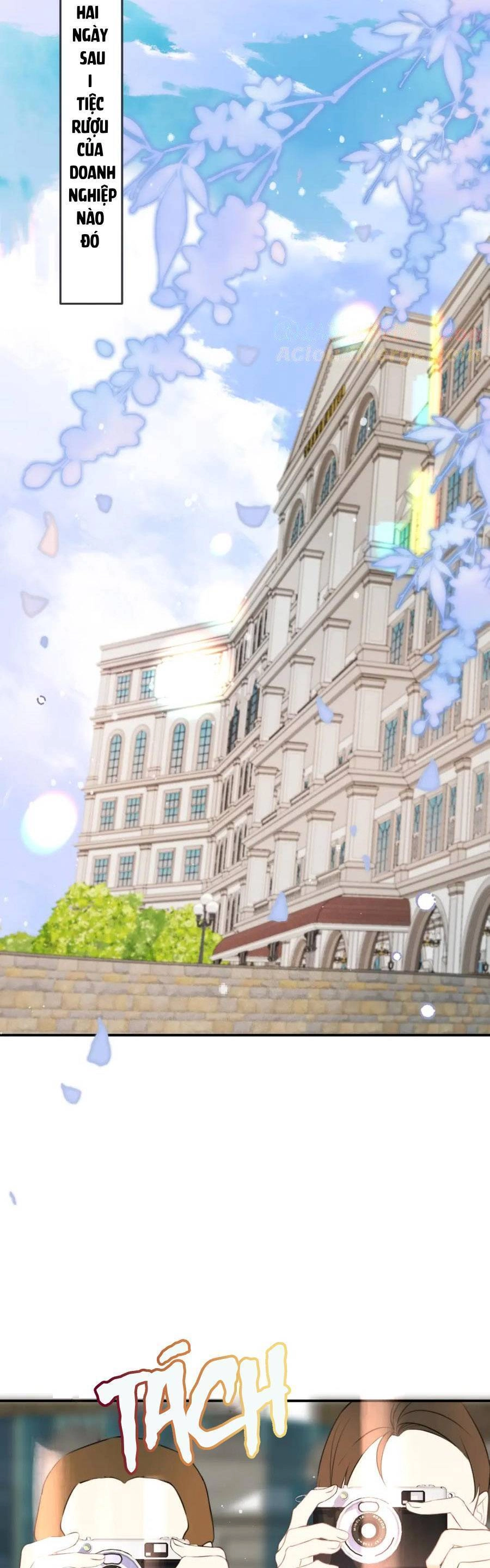 Lâu Tiểu Thư, Lại Gặp Nhau Rồi Chapter 142 - 24