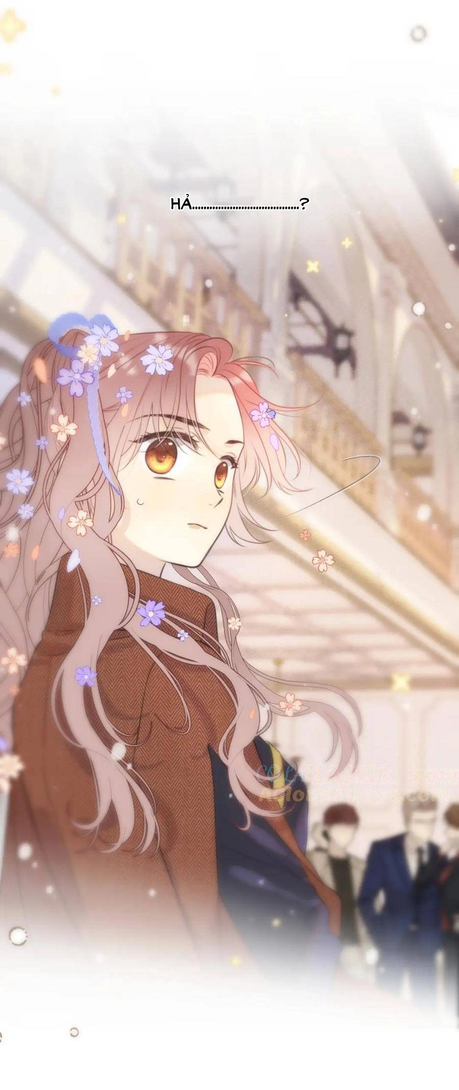 Lâu Tiểu Thư, Lại Gặp Nhau Rồi Chapter 142 - 31