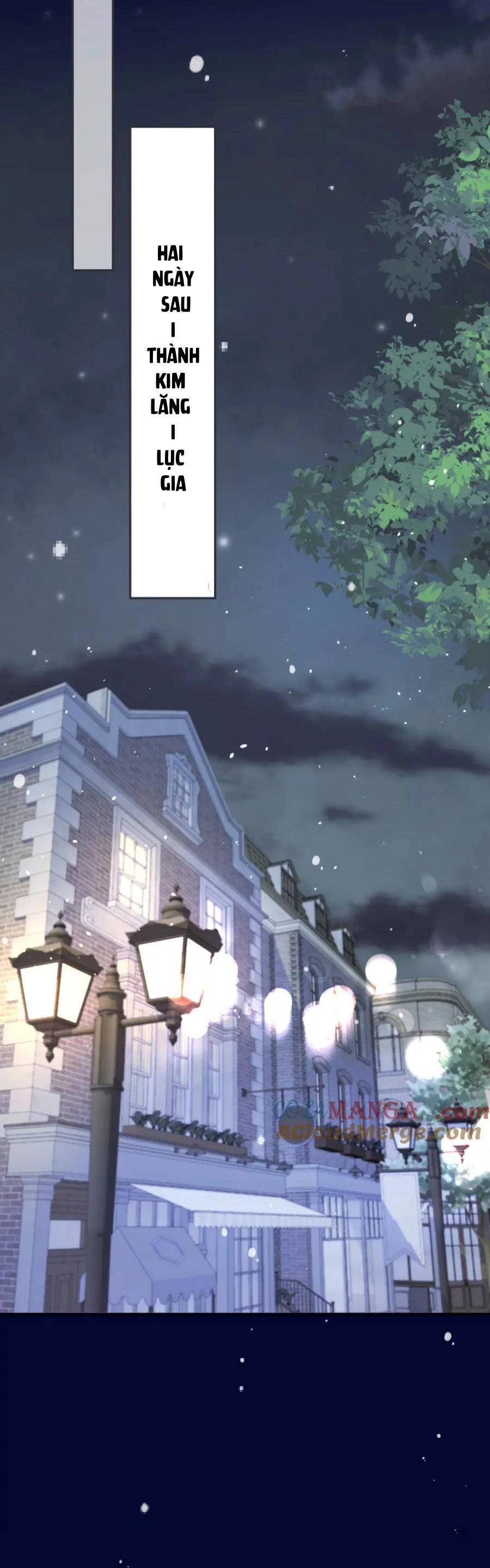 Lâu Tiểu Thư, Lại Gặp Nhau Rồi Chapter 144 - 20