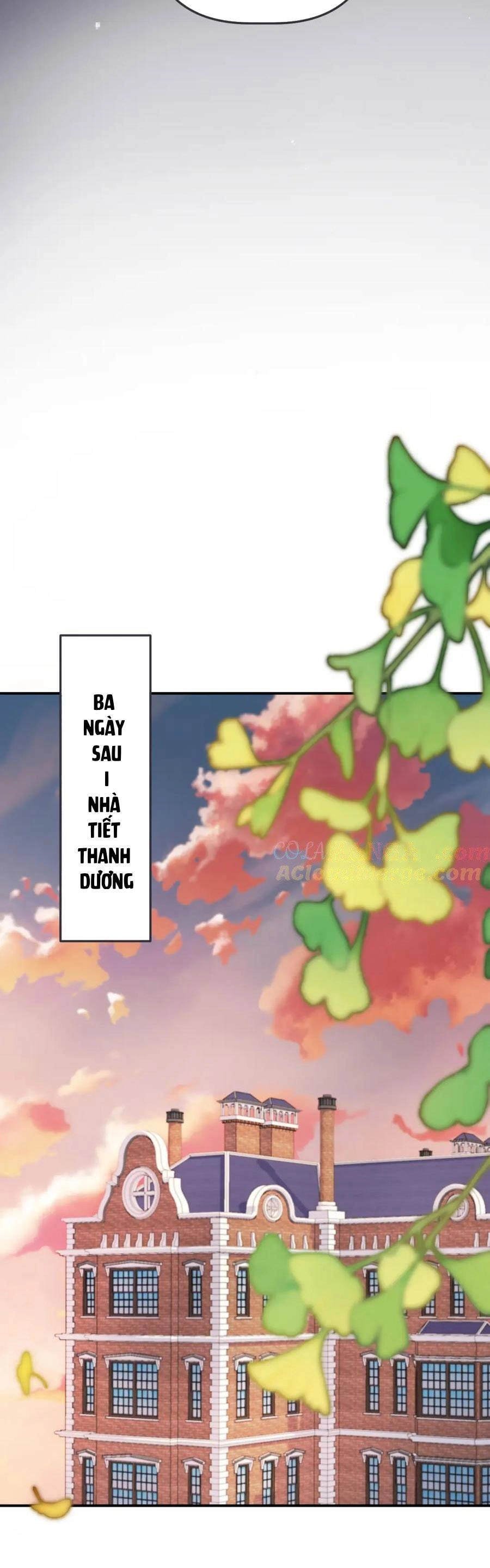 Lâu Tiểu Thư, Lại Gặp Nhau Rồi Chapter 144 - 27