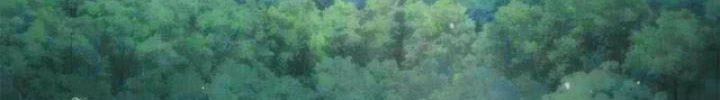 Đại Pháp Sư Toàn Năng Chapter 169 - 2