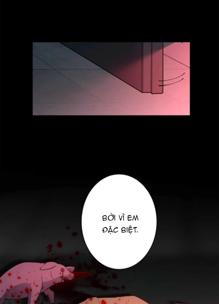 Ranker SSS Được Chọn Chapter 39 - 131