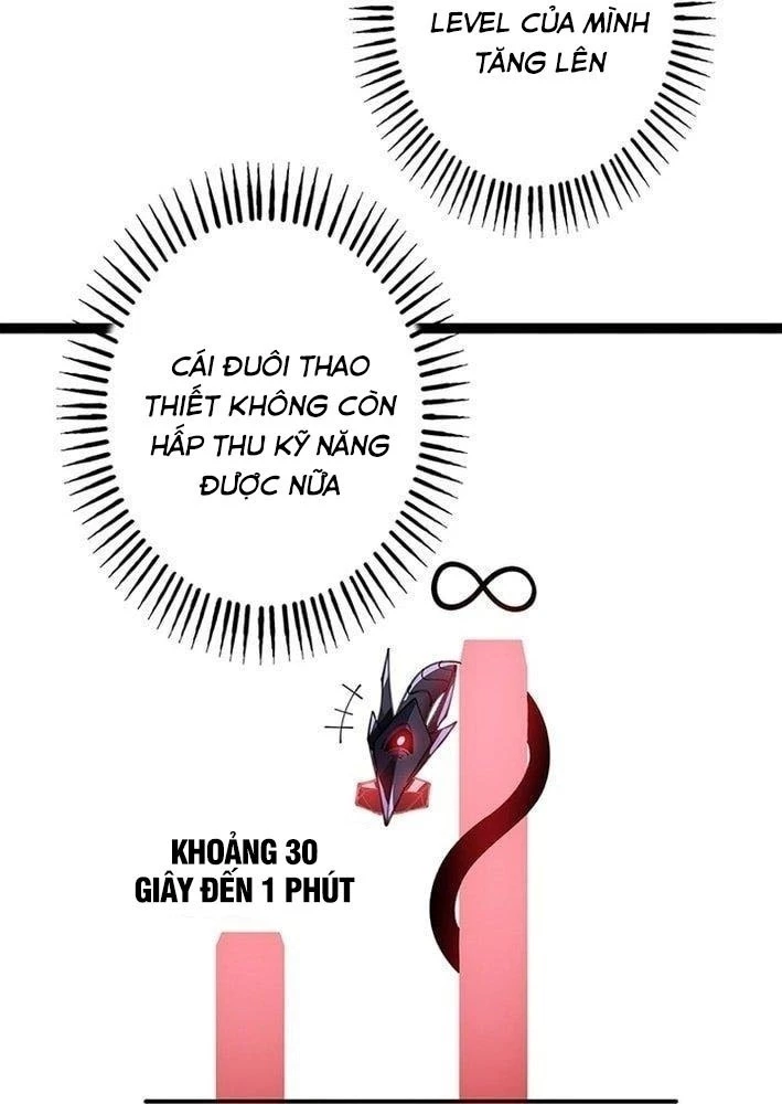 Ranker SSS Được Chọn Chapter 26 - 62