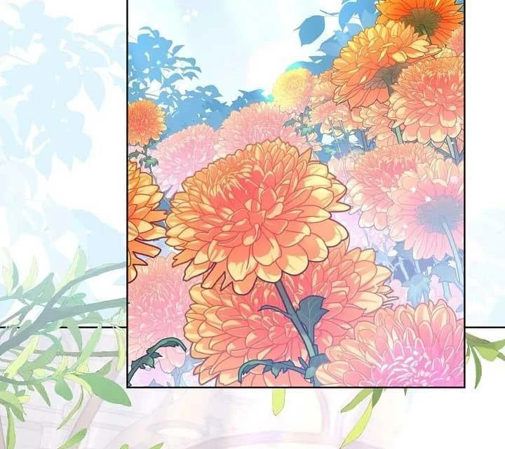 Tôi Sẽ Mua Thần Lực Bằng Tiền Chapter 14 - 178