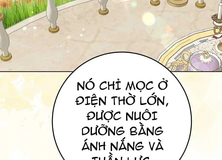 Tôi Sẽ Mua Thần Lực Bằng Tiền Chapter 14 - 216