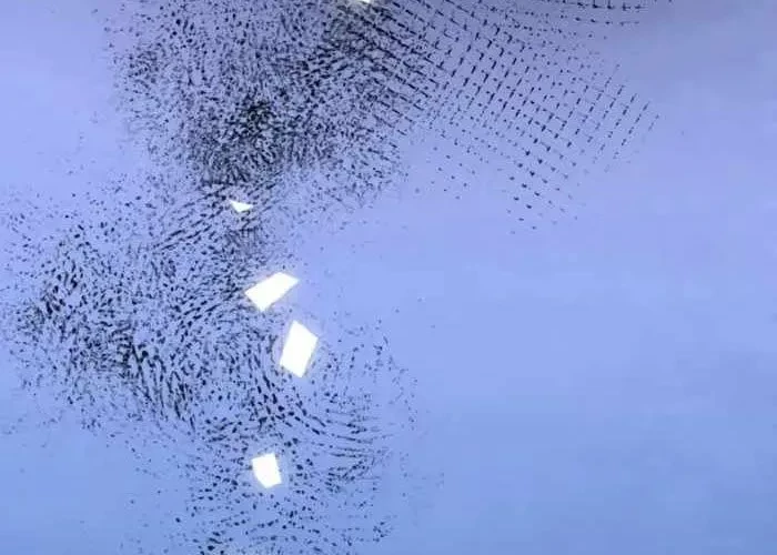 Pháp Sư Thiên Tài Phá Vỡ Giới Hạn Chapter 31 - 179