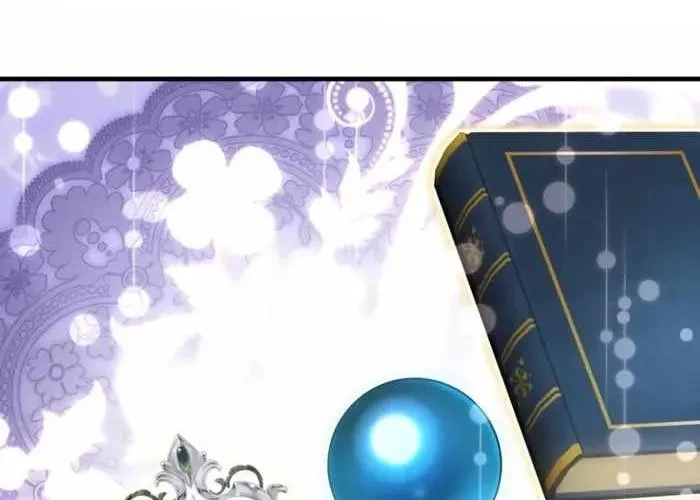 Pháp Sư Thiên Tài Phá Vỡ Giới Hạn Chapter 31 - 219