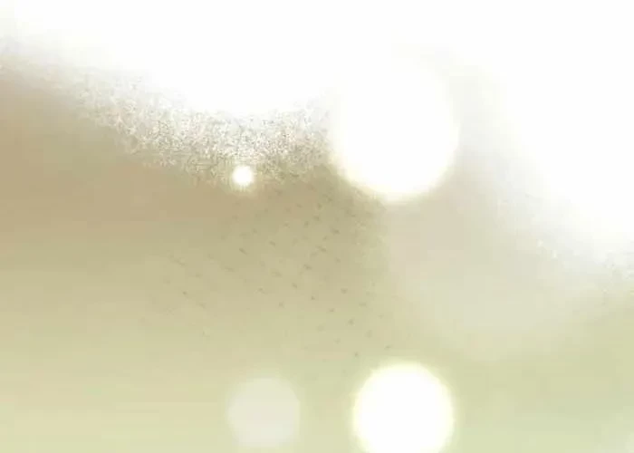 Pháp Sư Thiên Tài Phá Vỡ Giới Hạn Chapter 31 - 319