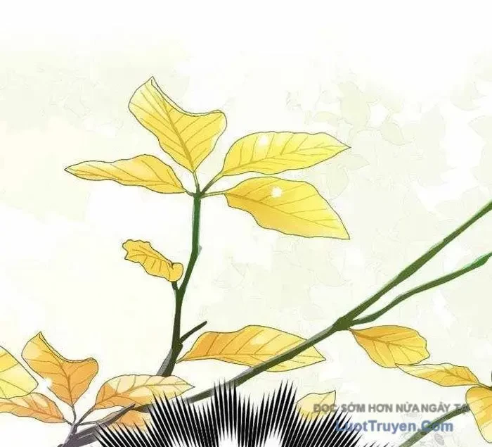 Pháp Sư Thiên Tài Phá Vỡ Giới Hạn Chapter 32 - 18