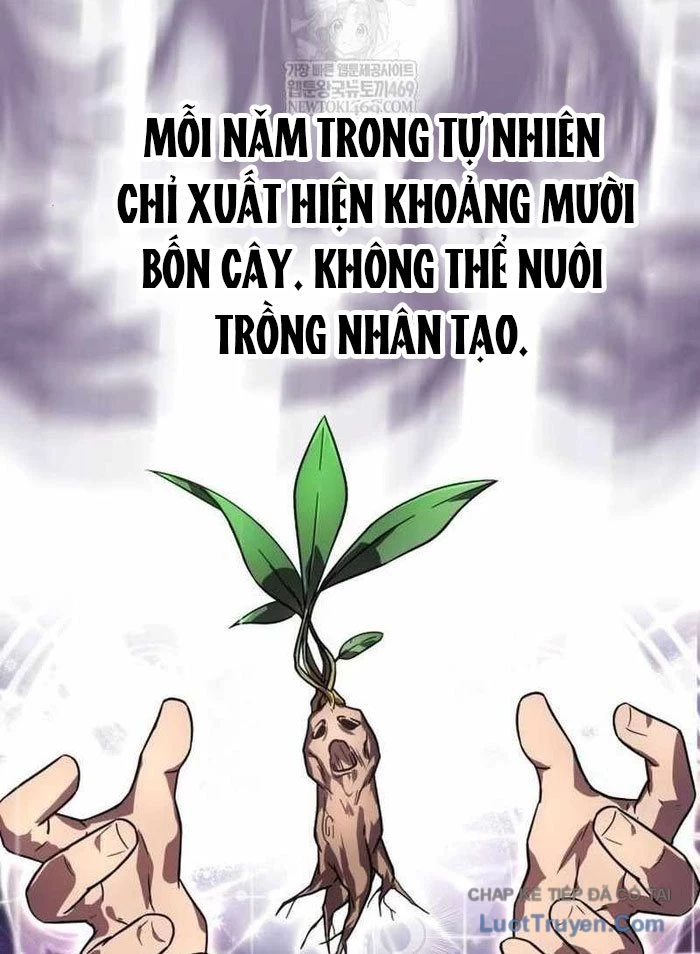 Pháp Sư Thiên Tài Phá Vỡ Giới Hạn Chapter 36 - 10
