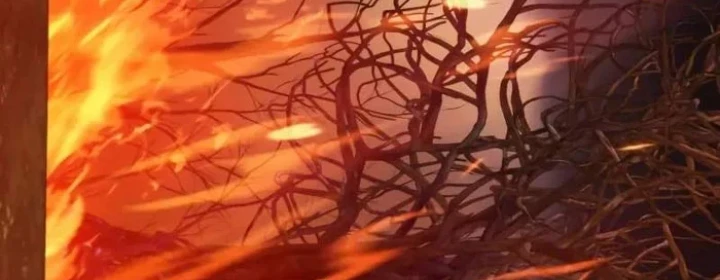 Pháp Sư Thiên Tài Phá Vỡ Giới Hạn Chapter 37 - 138