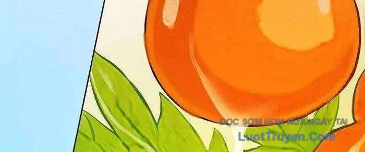 Không Gian Bí Mật Của Luật Sư Phi Thường Chapter 22 - 8