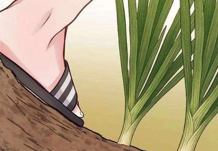 Không Gian Bí Mật Của Luật Sư Phi Thường Chapter 22 - 19