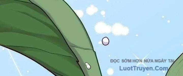 Không Gian Bí Mật Của Luật Sư Phi Thường Chapter 22 - 203