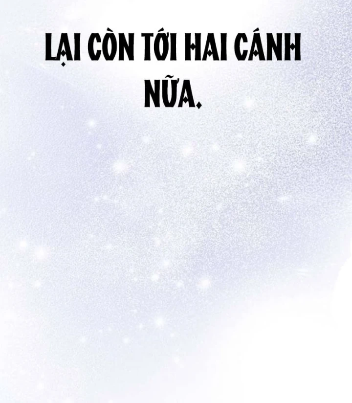 Không Gian Bí Mật Của Luật Sư Phi Thường Chapter 31 - 162