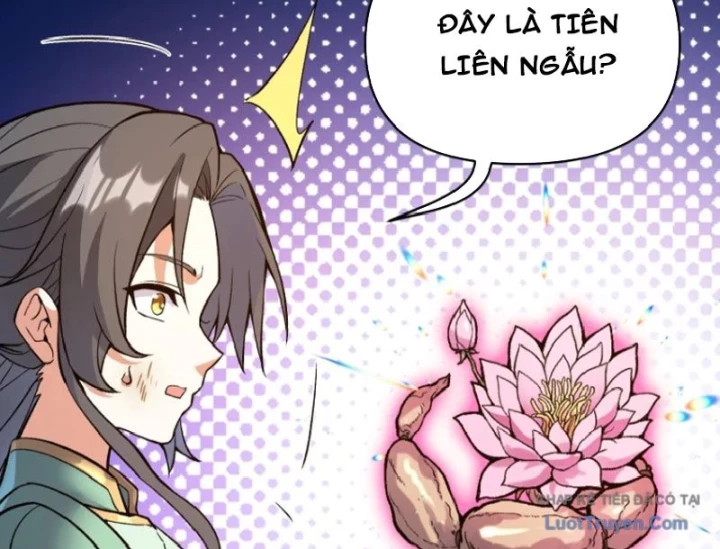 Bắt Đầu Tu Chân Từ Việc Trồng Ra Nữ Đế Yêu Tộc Chapter 20 - 249