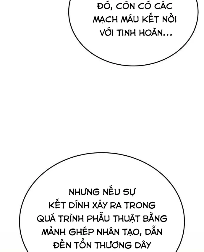 Bác sĩ hồi quy chỉ muốn sống yên bình Chapter 60 - 135