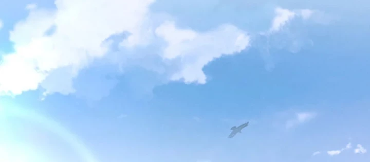 Kẻ Thù Của Ta Lại Thành Đạo Lữ Chapter 27 - 28