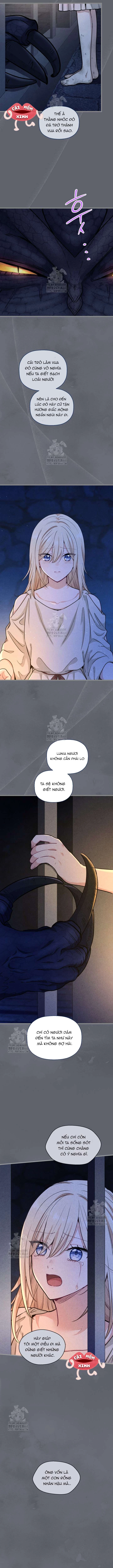 Bệ Hạ, Xin Hãy Quên Tôi Đi Chapter 45 - 7