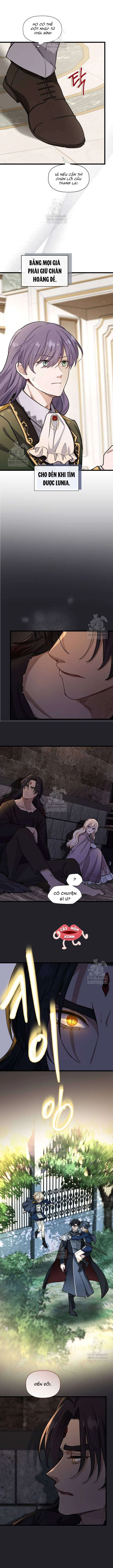 Bệ Hạ, Xin Hãy Quên Tôi Đi Chapter 53 - 8