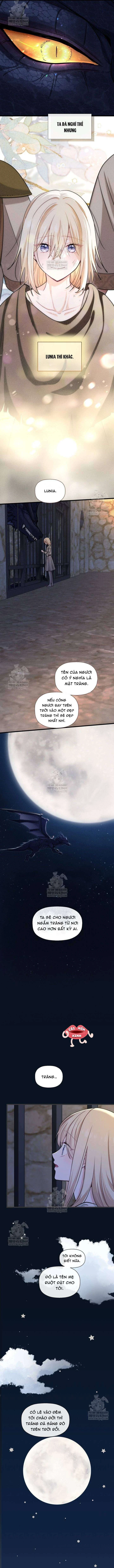 Bệ Hạ, Xin Hãy Quên Tôi Đi Chapter 54 - 5