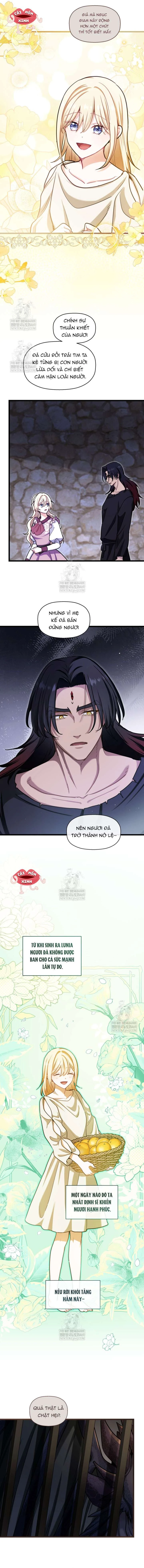 Bệ Hạ, Xin Hãy Quên Tôi Đi Chapter 58 - 4