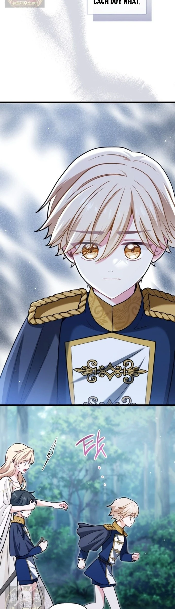 Bệ Hạ, Xin Hãy Quên Tôi Đi Chapter  80 - 2