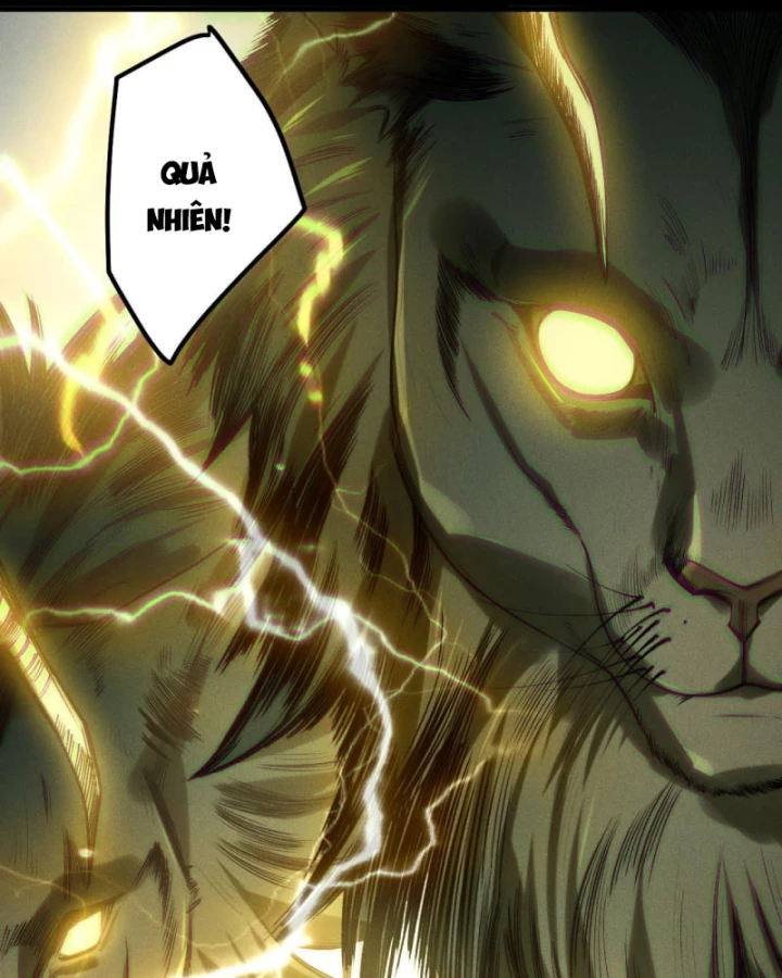 Thảm Họa Tử Linh Sư Chapter 222 - 38