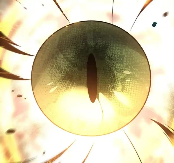 Thảm Họa Tử Linh Sư Chapter 237 - 66