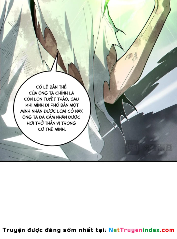 Thảm Họa Tử Linh Sư Chapter 240 - 49