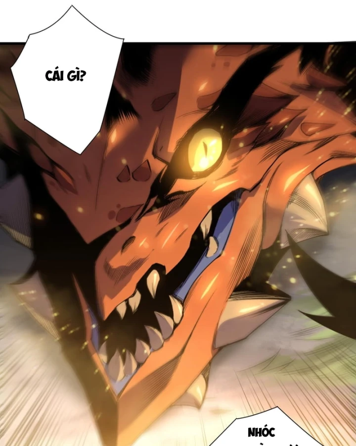 Thảm Họa Tử Linh Sư Chapter 241 - 80